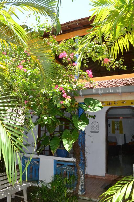 Bougain Villa Guesthouse ميريسا المظهر الخارجي الصورة